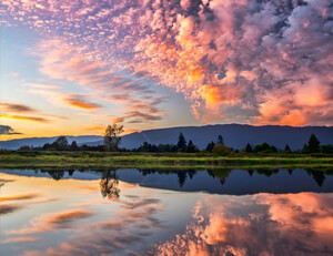 福建男篮客场失利，积分榜上遭遇滑坡