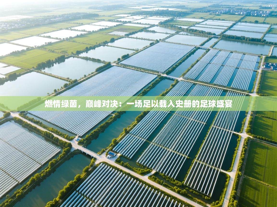 燃情绿茵，巅峰对决：一场足以载入史册的足球盛宴  第2张