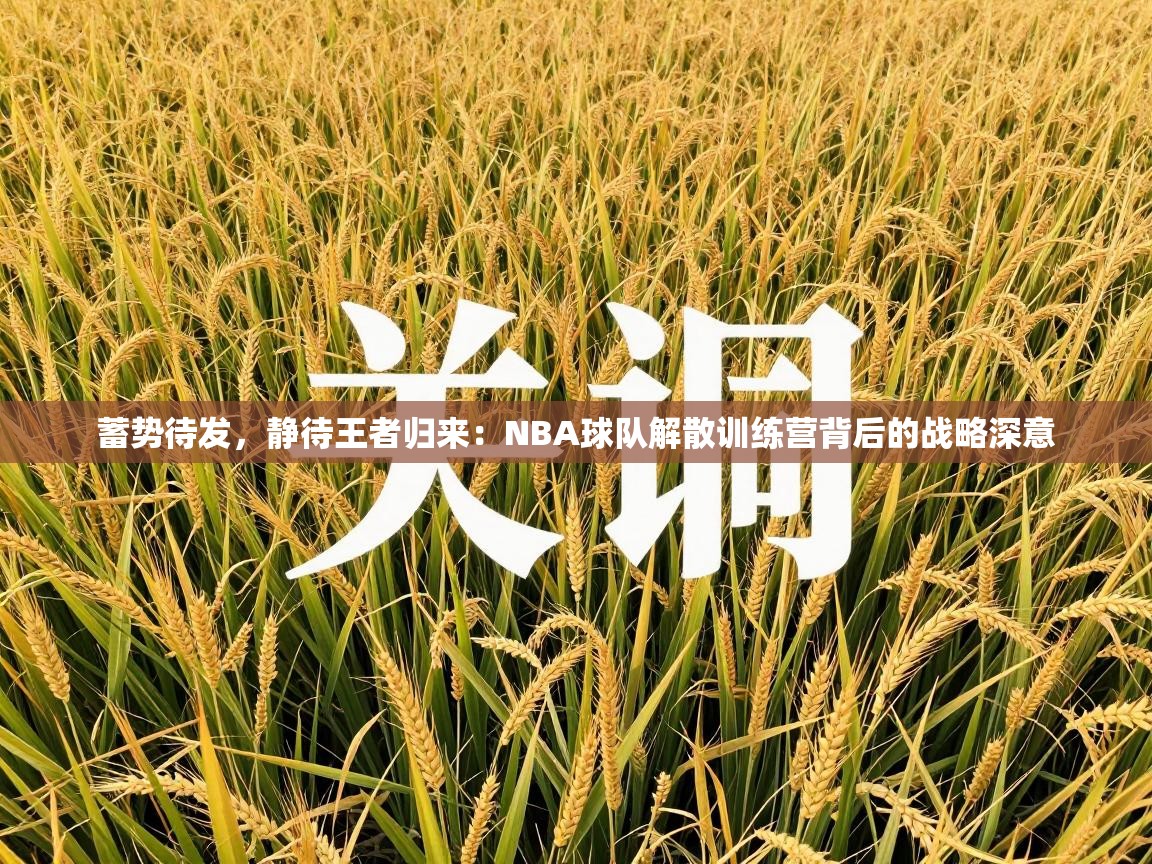 蓄势待发，静待王者归来：NBA球队解散训练营背后的战略深意  第2张