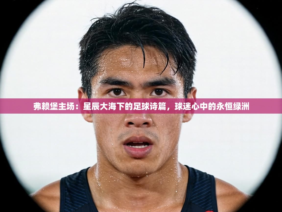 弗赖堡主场:星辰大海下的足球诗篇,球迷心中的永恒绿洲 第1张