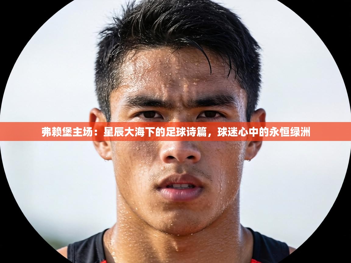 弗赖堡主场:星辰大海下的足球诗篇,球迷心中的永恒绿洲 第2张