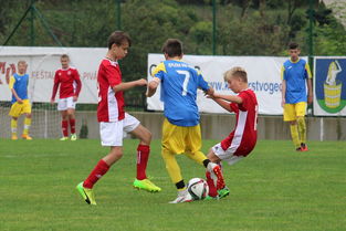 爱游戏链接-西悉尼流浪者新援首秀引期待,世俱杯表现备受关注